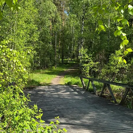 Niittyvilla In The River Landscape Of Lempaeaelae Kulju