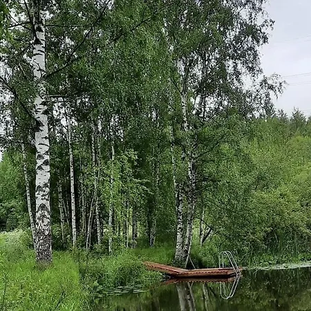 别墅 Niittyvilla In The River Landscape Of Lempaeaelae *