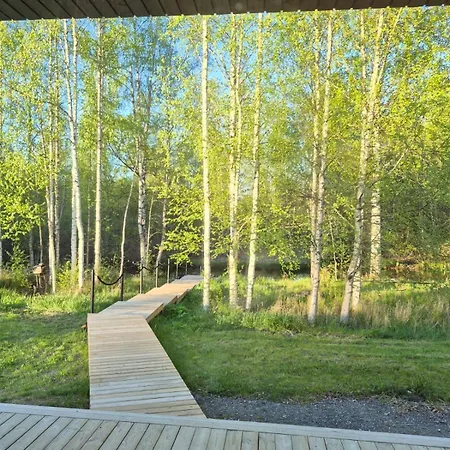 Niittyvilla In The River Landscape Of Lempaeaelae